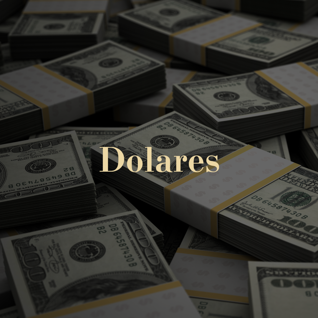 DIREITO CÍVEL (19)